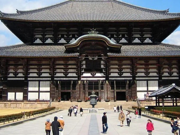 Nara Private Tour by Public Transportation from Osaka